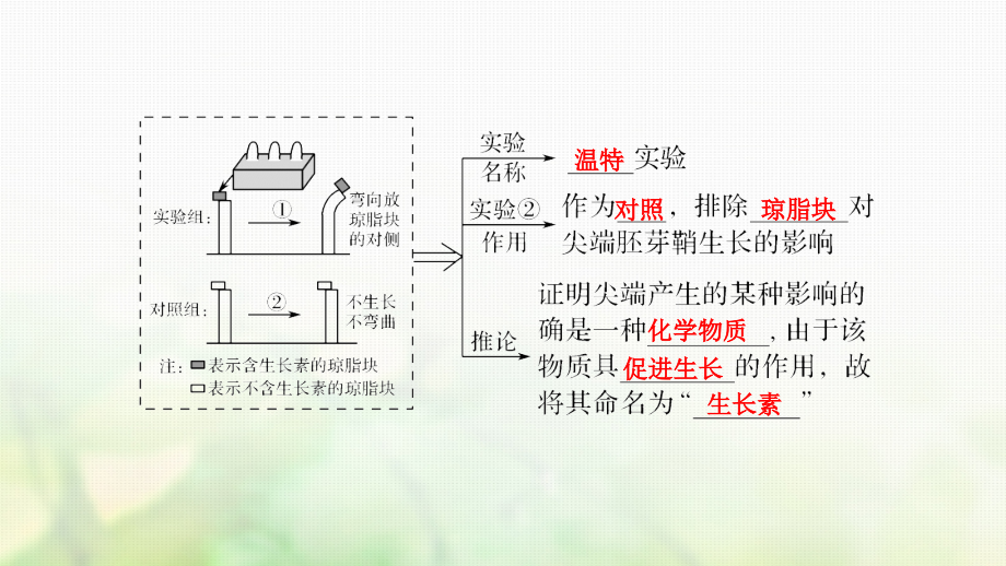 高考生物一轮复习 第八单元 生命活动的调节 第27讲 植物的激素调节课件_第4页