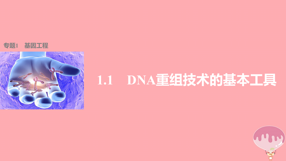 高中生物 专题1 细胞工程 1.1 DNA重组技术的基本工具课件 新人教选修3_第1页