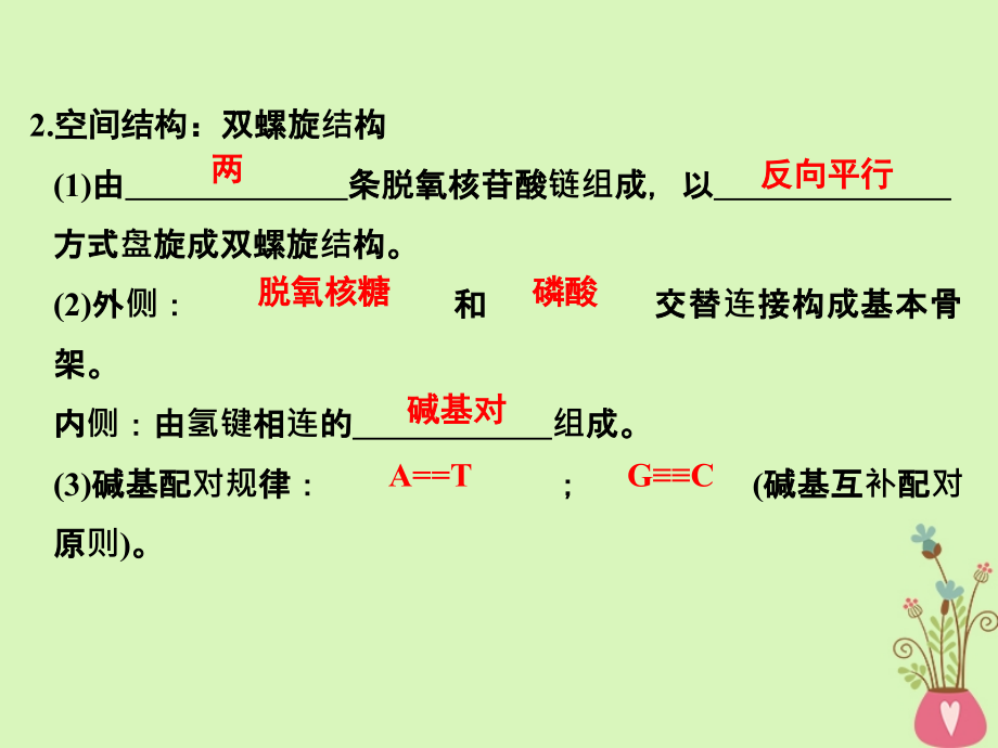 （浙江专）高考生物一轮复习 第15讲 DNA的分子结构与复制课件_第4页