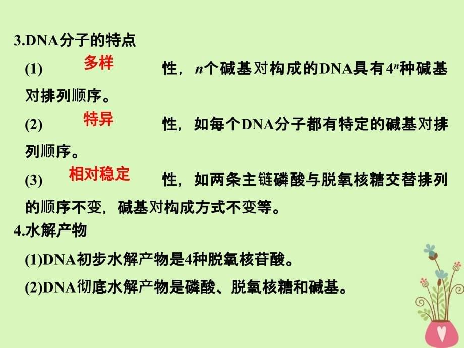 （浙江专）高考生物一轮复习 第15讲 DNA的分子结构与复制课件_第5页