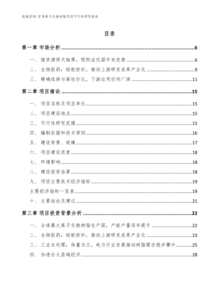 宝鸡离子交换树脂项目可行性研究报告模板范本_第1页