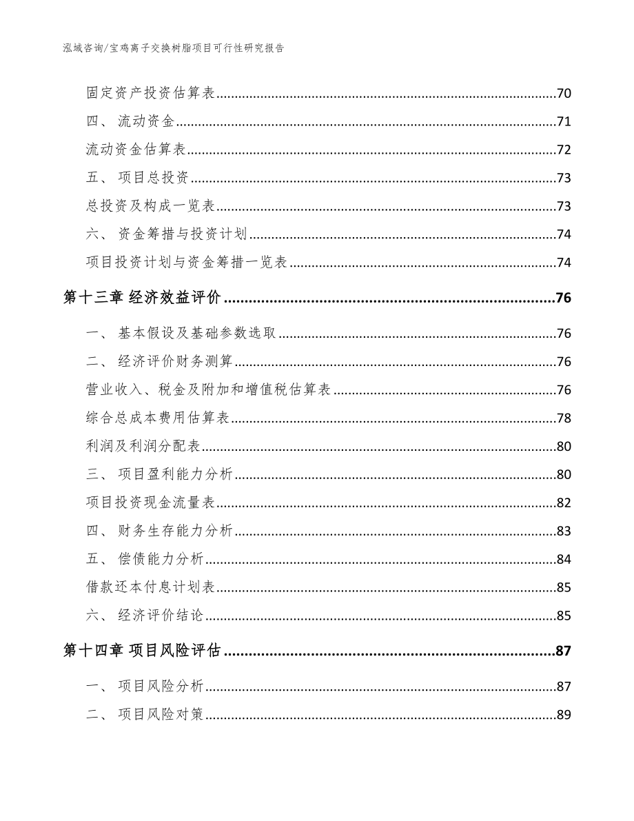 宝鸡离子交换树脂项目可行性研究报告模板范本_第4页